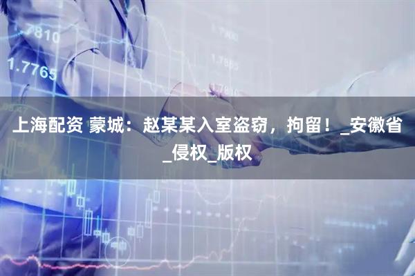 上海配资 蒙城：赵某某入室盗窃，拘留！_安徽省_侵权_版权