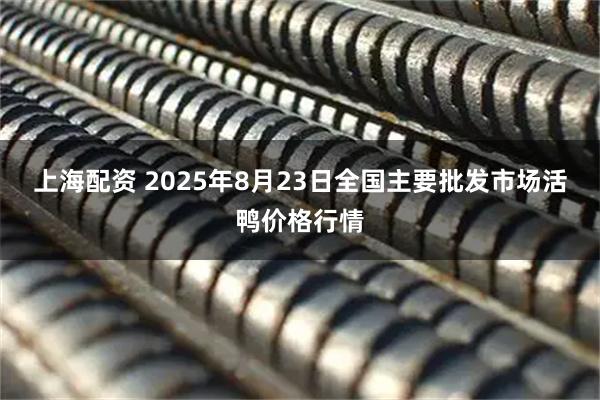 上海配资 2025年8月23日全国主要批发市场活鸭价格行情